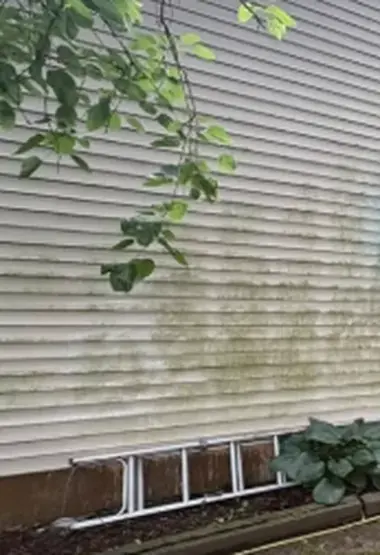 Green algae staining running down beige vinyl siding