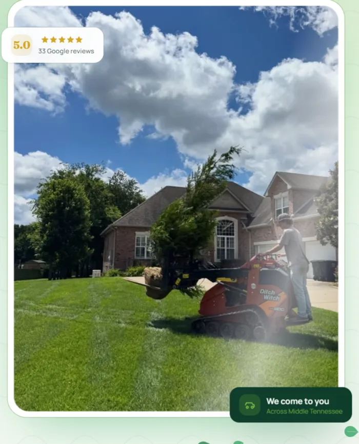 Worker planting a tall green tree on a fresh lawn in front of a brick house