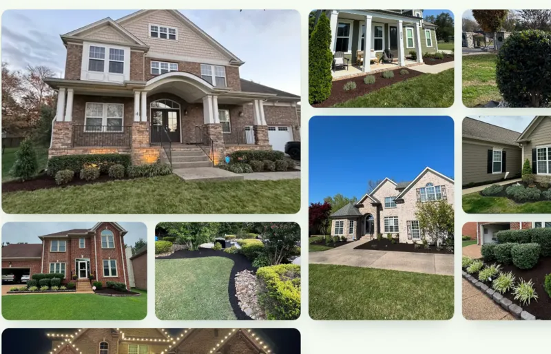 Green mowed lawn with clean stripes in front of a suburban home